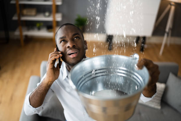 Best Flooded house restoration  in Kings Point, NY