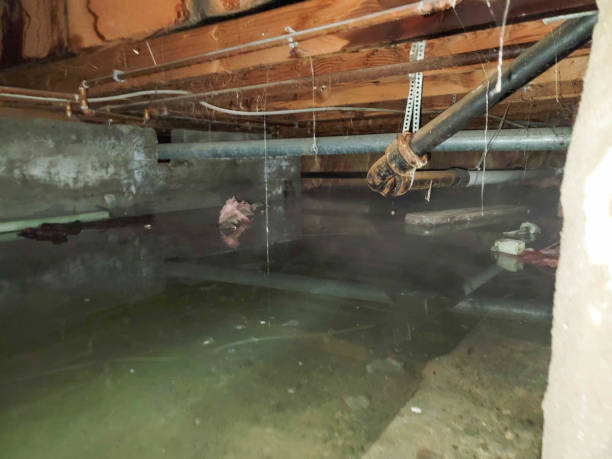 24/7 water damage repair in Kings Point, NY