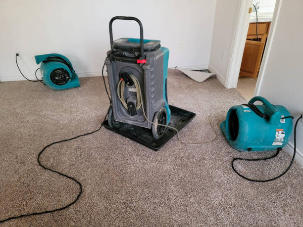 Best Flood damage cleanup  in Kings Point, NY