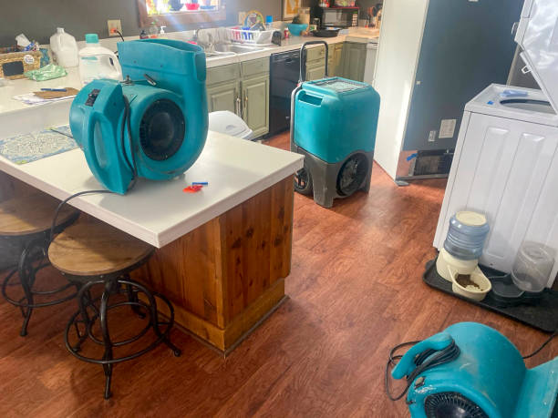Best Emergency water damage restoration  in Kings Point, NY