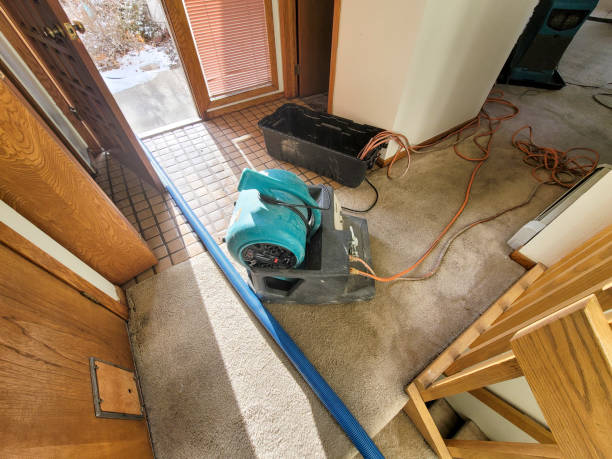 Best Sewage cleanup and water damage restoration  in Kings Point, NY