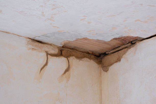 Best Residential water damage restoration  in Kings Point, NY