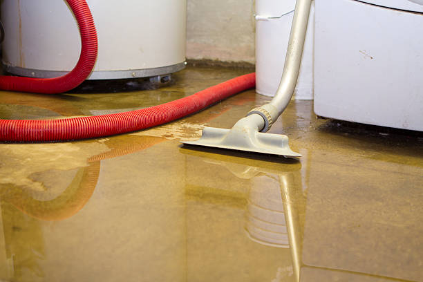 Best Emergency water damage restoration  in Kings Point, NY
