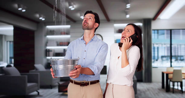 Best Professional water damage repair  in Kings Point, NY