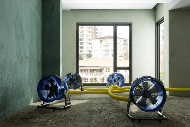 24/7 water damage repair in Kings Point, NY