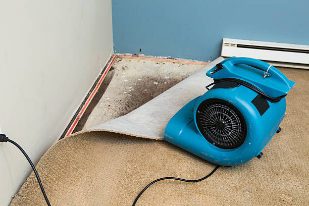 Best Water damage restoration services  in Kings Point, NY